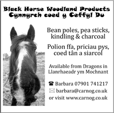 Black Horse Woodland Products